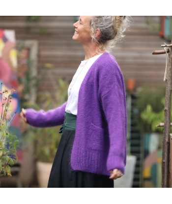 Gilet Augustine Violette pas cher 