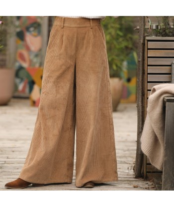 Pantalon César- velours côtelé camel l'évolution des habitudes 