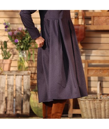 Robe Louise - armuré de coton/viscose marine plumetis or sur le site 